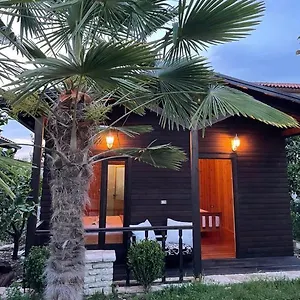 https://blen-grand.albaniahotels.org