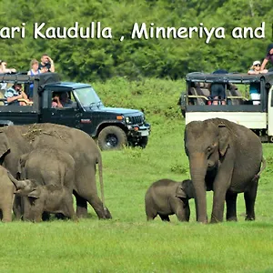 https://sigiriya-sun-shine-villa.kandyhotelsnow.com